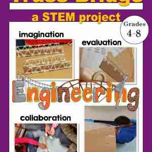 The Truss Bridge Project